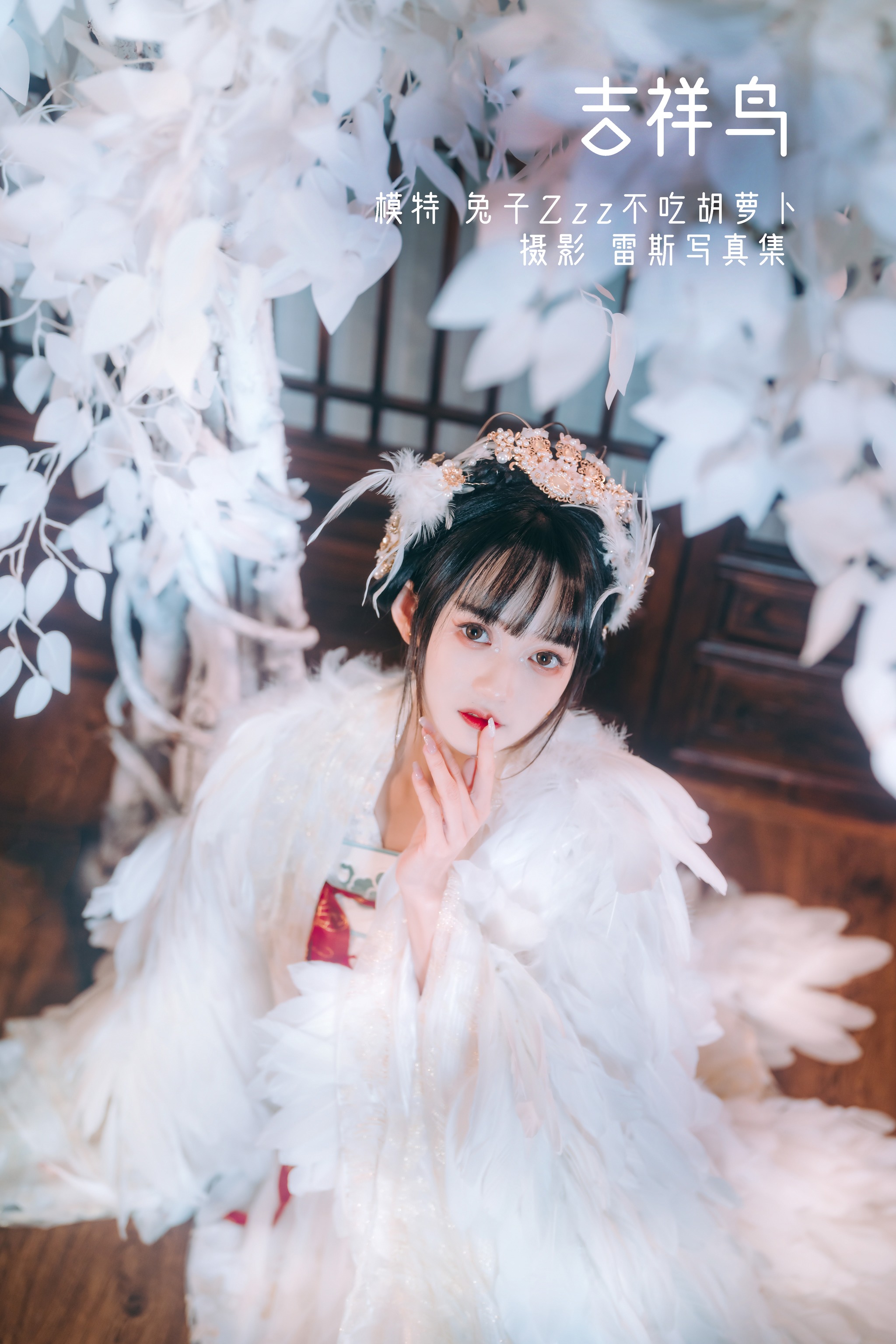 兔子Zzz不吃胡萝卜 - NO.011 吉祥鸟 [21P]-XikXak